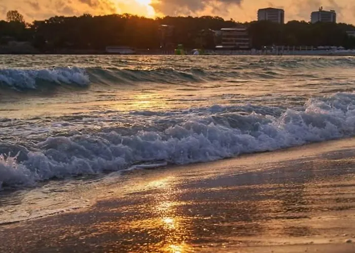 Cozy Private Excelsior Sunny *